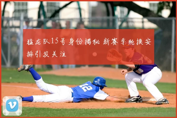 猛龙队15号身份揭秘 新赛季轮换安排引发关注